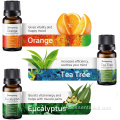 卸売プライベートラベルAromatherapy Organic Essential Oilセット